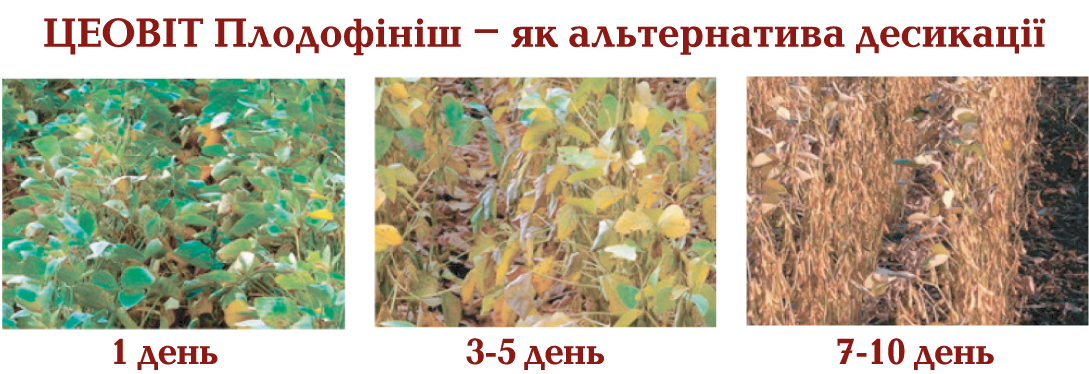 Сеникация